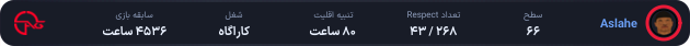 1076878-Aslahe