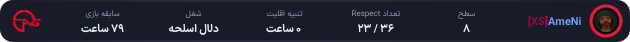 1197678-AmeNi.png