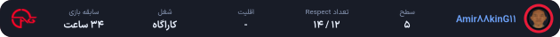 Amir88kinG11