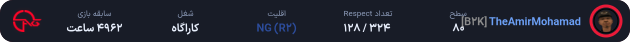 TheAmirMohamad